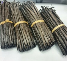 Bourbon vanilla pods - 10,