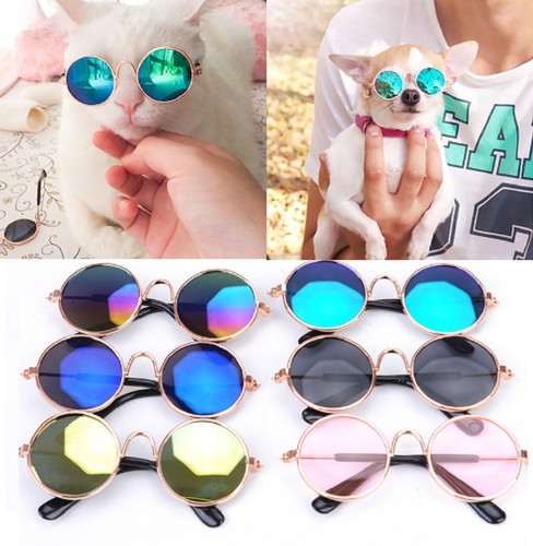 Small cat dog sunglasses - small,
