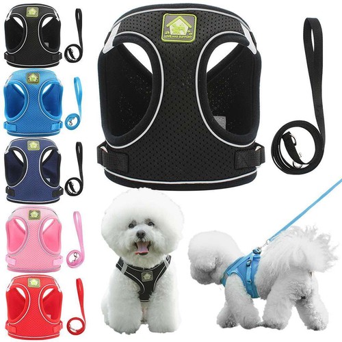 Pull dog pet harness - dog,