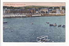 Teignmouth - A Polo Match off