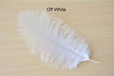 Large Quality Ostrich Feathers