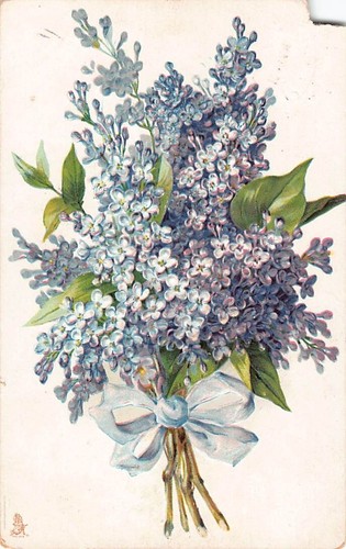 Family history postcard miss - family,
