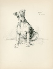 WIRE FOX TERRIER  VINTAGE 1937