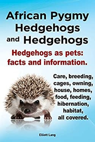 African pygmy hedgehogs and - african,