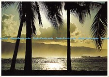 D148280 Hawaii. Outrigger War Canoe Reflected in the Afternoon Sun at Haleiwa Be