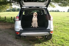 Fits vauxhall zafira - fits, car