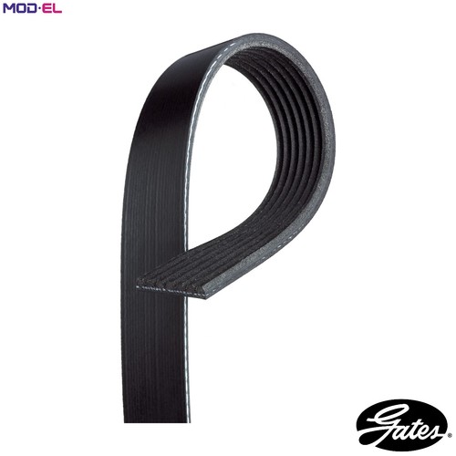 Vribbed belt 7pk1715 for - vribbed,