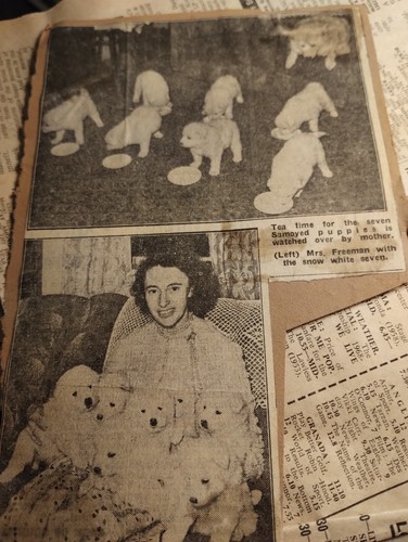 Sk236 ephemera picture mrs - sk236,