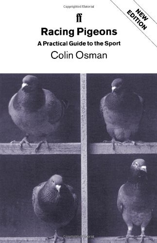 Racing pigeons practical - racing, a