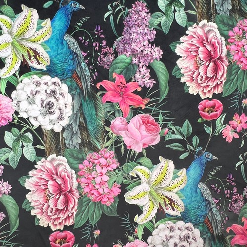 Peacock blossom black - blossom, floral