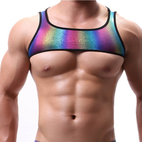 Rainbow mens chest harness - harness, +