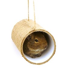 Premium Chewchewbs - Small pet