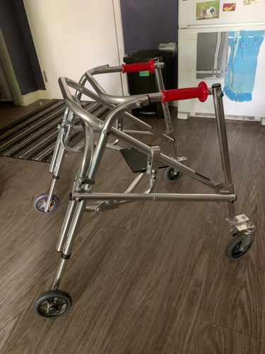 Kaye posture control walker - posture,