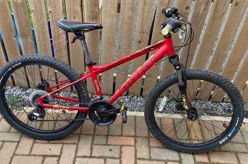 Carrera mountain bike - bike, jnr