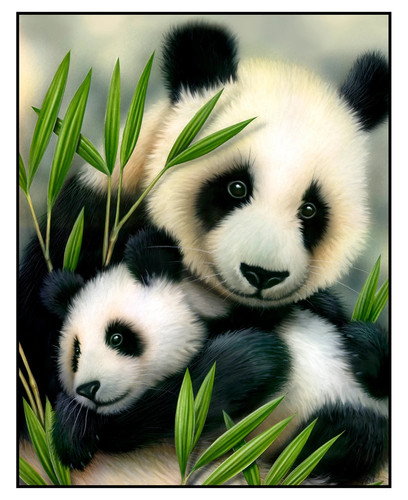 Panda bear fabric quilt panel - panda,