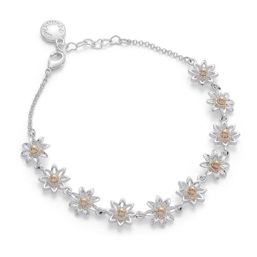 Equilibrium daisy chain two - equilibrium,