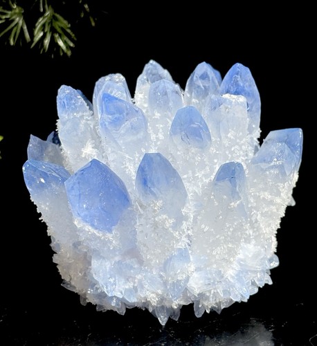 Large 307g phantom blue - blue, quartz