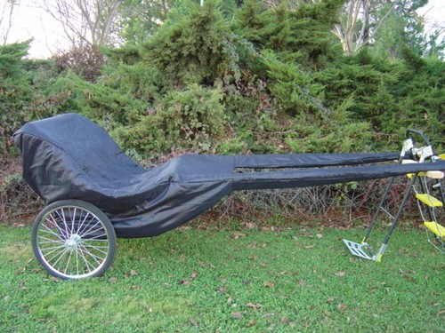 New easy entry horse - easy,