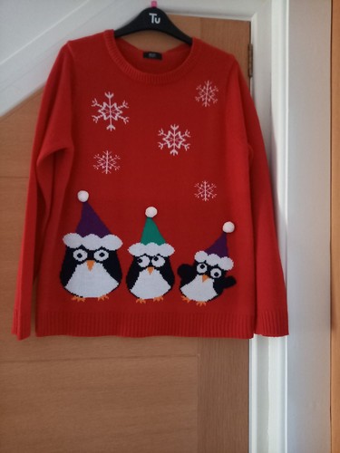 Ladies christmas jumper - a,