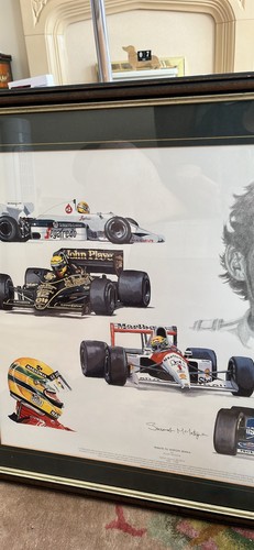 Stuart mcintyre ayrton senna - mcintyre,