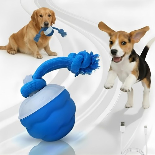 Toy for dog