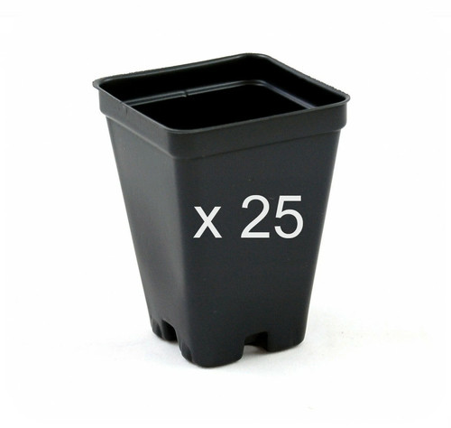 Black form plastic plant - black,