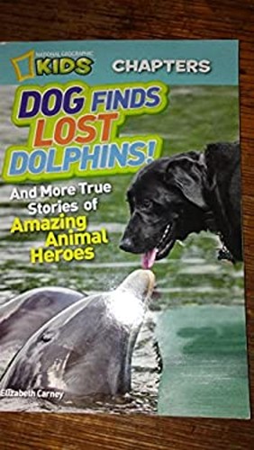 Dog finds lost dolphin and - finds,