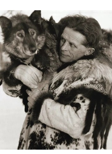 Togo siberian sled - togo, dog