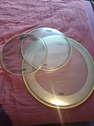 Remo ambassador clear - ambassador, drum
