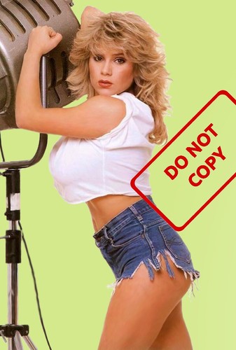 Samantha fox sexy - fox,