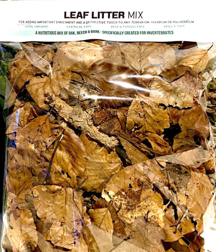 Rainforest leaf litter mix - leaf,