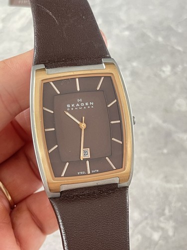 Skagen men brown dial - skagen,