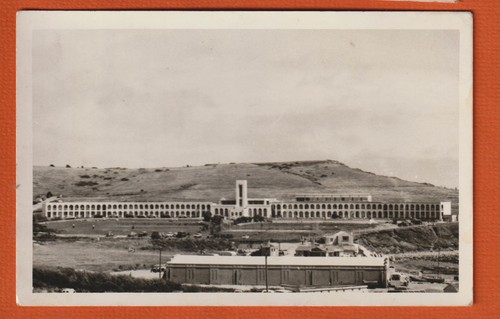 Real photo postcard holiday - photo, postcard,