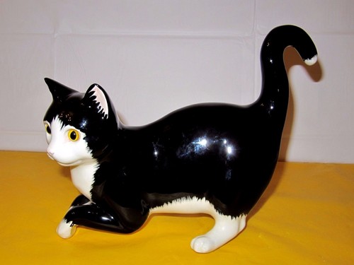 Stoke trent cats - on, co