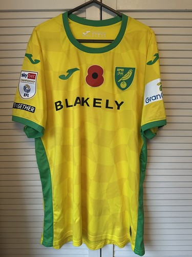Match worn 2024 norwich - match,