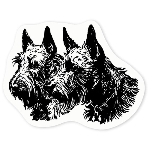 Scottish terrier couple - 'scottish, couple'