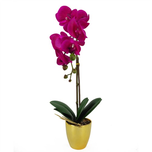 Artificial orchid plant - artificial, dark