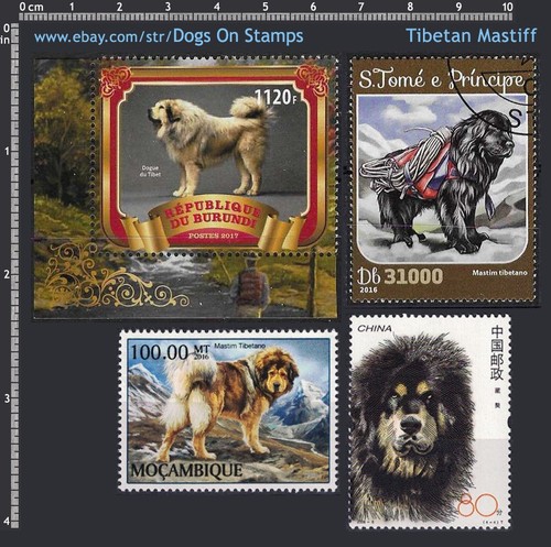 Tibm frame dog breed - [tibm],