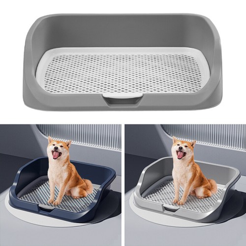 Pet puppy dog potty - dog, loo