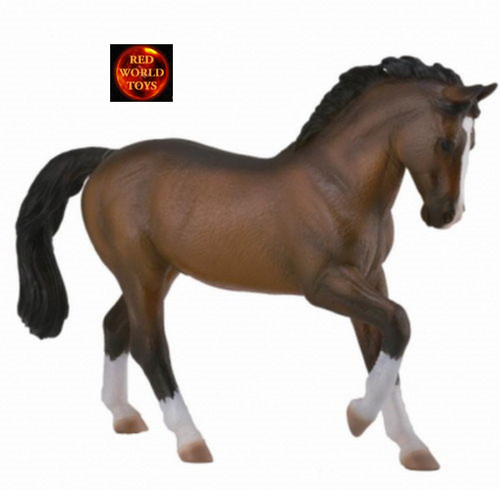 Warmblood bay stallion - warmblood,