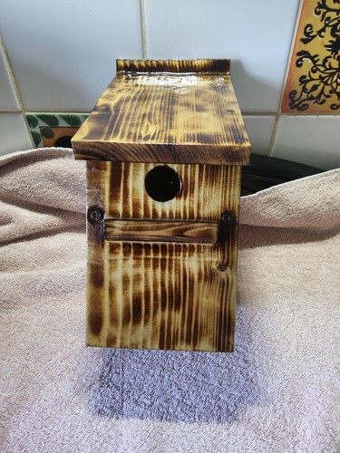 Wild bird nesting boxes - wild,
