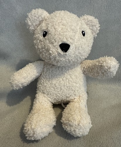 Sainsburys home teddy - home, bear