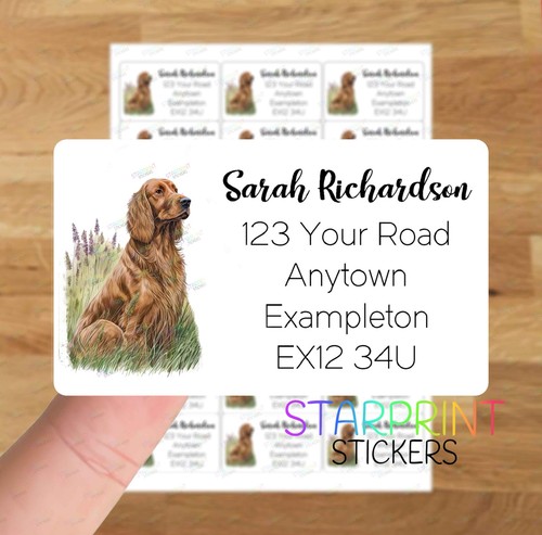 Irish red setter - irish,