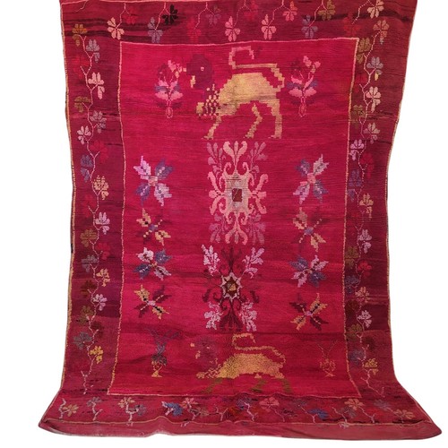 Timeless magenta majesty rare - timeless,