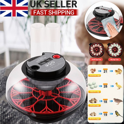 Mini eggs incubator digital - eggs,