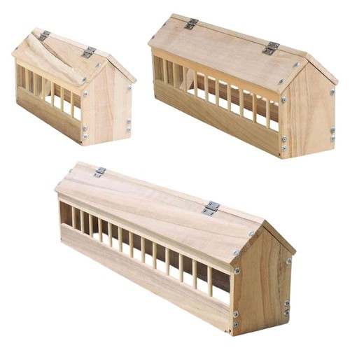 Pigeon feeder trough feeding - trough,