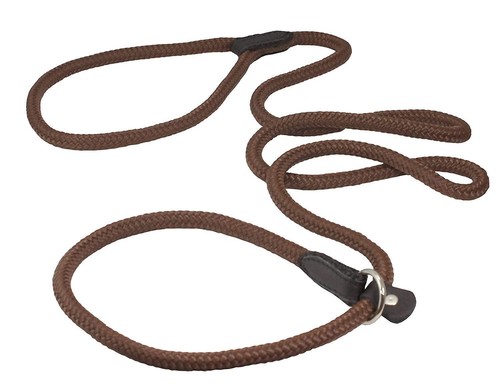 Dogs love nylon rope - my, slip