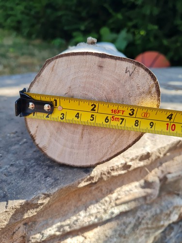 Walnut round timber for wood - round,