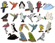 Birds parrots seagulls - birds,