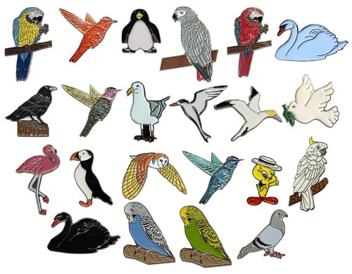 Birds parrots seagulls - birds,
